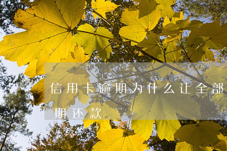 信用卡逾期为什么让全部还(什么是信用卡逾期还款)
