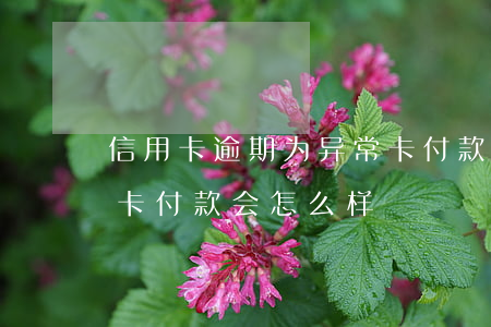信用卡逾期为异常卡付款 信用卡逾期为异常卡付款会怎么样