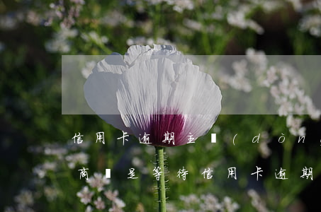 信用卡逾期主動(dòng)協(xié)商還是等待(信用卡逾期主動(dòng)協(xié)商還是等待結(jié)清)