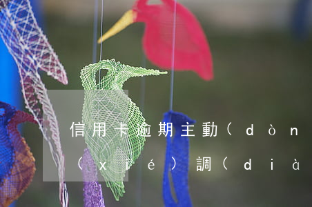 信用卡逾期主動(dòng)去銀行部門協(xié)調(diào)嗎-信用卡逾期主動(dòng)去銀行部門協(xié)調(diào)嗎有用嗎