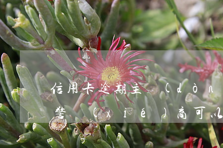 信用卡逾期主動(dòng)報(bào)警協(xié)商可以嗎 銀行會(huì)報(bào)案信用卡逾期