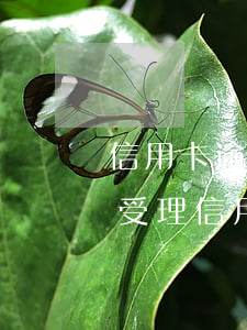 信用卡逾期主動(dòng)投案-公安局受理信用卡逾期案件嗎