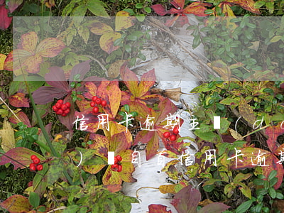 信用卡逾期主動(dòng)經(jīng)偵自首(信用卡逾期法務(wù)部聯(lián)系我說(shuō)讓我去投案自首)