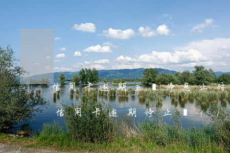 信用卡逾期主動停息止付(關(guān)于信用卡逾期停止計(jì)息規(guī)定)