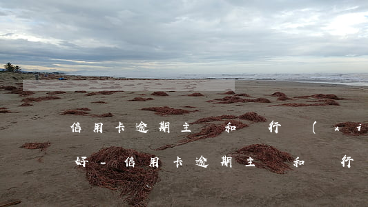 信用卡逾期主動和銀行協(xié)商好不好-信用卡逾期主動和銀行協(xié)商好不好通過