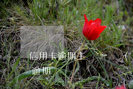 信用卡逾期主動報備(發(fā)生過信用卡逾期)