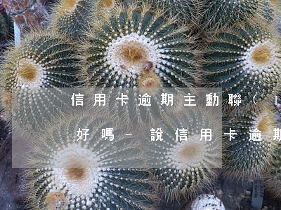 信用卡逾期主動聯(lián)系銀行效果好嗎-說信用卡逾期找上門了