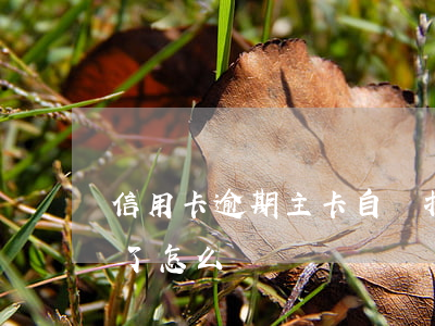 信用卡逾期主卡自動扣錢-被信用卡自動扣了怎么辦