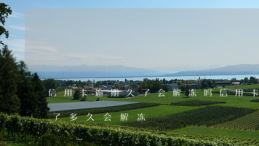 信用卡逾期久了会解冻吗(信用卡逾期了冻结了,多久会解冻)