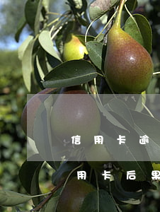 信用卡逾期久了可以不銷戶嗎(逾期后注銷信用卡后果嚴重)