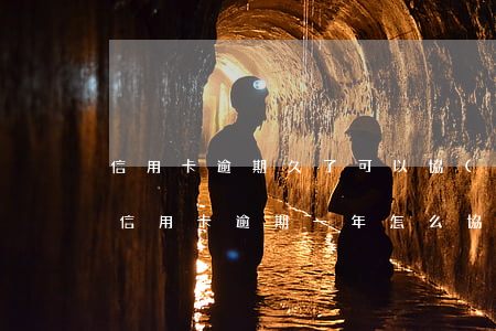 信用卡逾期久了可以協(xié)商免息嗎(信用卡逾期一年怎么協(xié)商減免利息和滯納金)