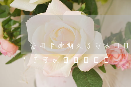 信用卡逾期久了可以辦車貸嗎(信用卡逾期久了可以辦車貸嗎嗎)