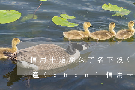 信用卡逾期久了名下沒(méi)有固定資產(chǎn)(信用卡逾期久了名下沒(méi)有固定資產(chǎn))
