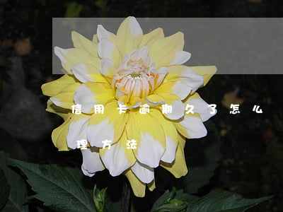 信用卡逾期久了怎么處理(信用卡逾期怎么處理方法)