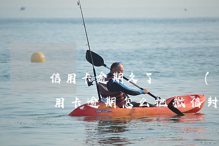 信用卡逾期久了會凍結(jié)微信嗎(信用卡逾期怎么把微信封了)