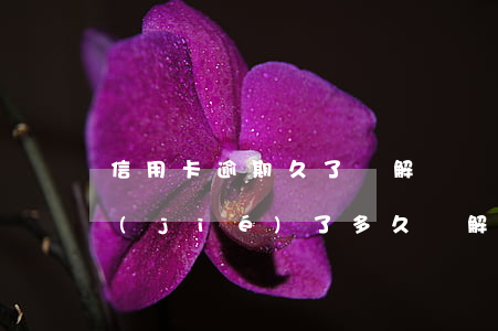 信用卡逾期久了會解凍嗎(信用卡逾期了凍結(jié)了,多久會解凍)