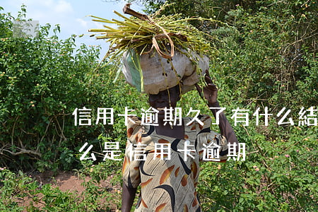 信用卡逾期久了有什么結(jié)果呢(什么是信用卡逾期)