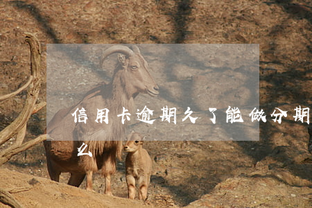 信用卡逾期久了能做分期嗎(分期了逾期會怎么樣)