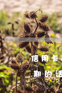 信用卡逾期久了能打进去钱吗(欠信用卡钱逾期的话会怎么样?)