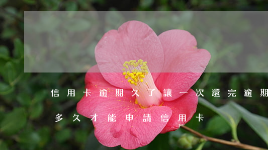 信用卡逾期久了讓一次還完(逾期過還清了過多久才能申請信用卡)