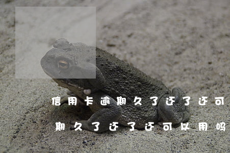 信用卡逾期久了还了还可以用吗-信用卡逾期久了还了还可以用吗