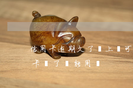 信用卡逾期久了還上還可以用嗎(逾期的信用卡還了還能用嗎)
