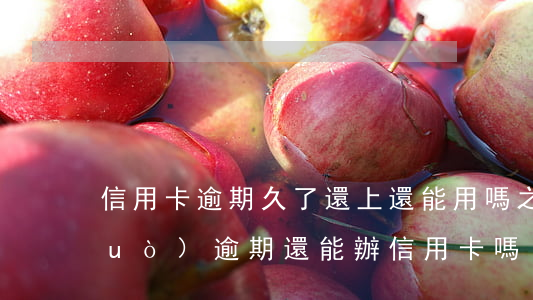 信用卡逾期久了還上還能用嗎(之前有過(guò)逾期還能辦信用卡嗎)