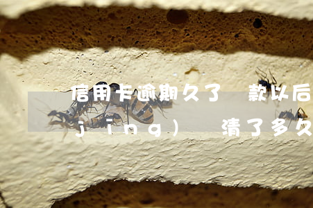 信用卡逾期久了還款以后(貸款逾期過,已經(jīng)還清了多久可以信用卡)
