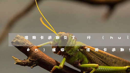 信用卡逾期久了銀行會(huì)上門(mén)催收嗎-信用卡逾期久了銀行會(huì)上門(mén)催收嗎知乎