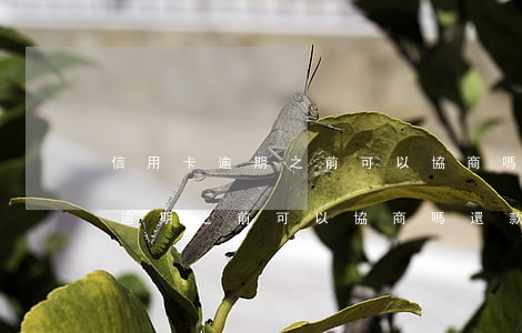 信用卡逾期之前可以協商嗎還款嗎-信用卡逾期之前可以協商嗎還款嗎