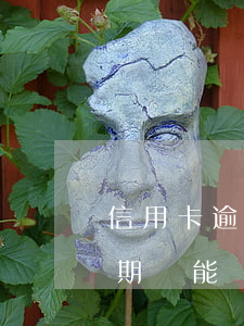 信用卡逾期之后上了征信-征信上信用卡逾期還能貸款嗎