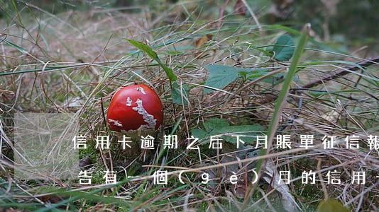 信用卡逾期之后下月賬單(征信報(bào)告有一個(gè)月的信用卡逾期)