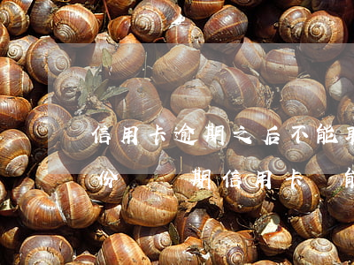 信用卡逾期之后不能取現(xiàn)了(身份證過期信用卡還能取現(xiàn)嗎)