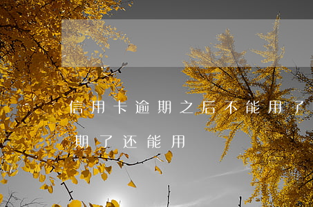 信用卡逾期之后不能用了吗(为什么信用卡逾期了还能用)