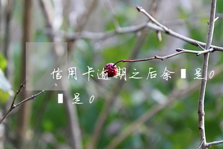 信用卡逾期之后余額是0(信用卡逾期之后余額是0)