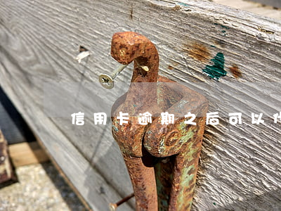 信用卡逾期之后可以代還嗎(能代還信用卡嗎)