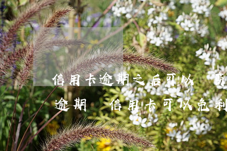 信用卡逾期之后可以協商減免利息這些嗎-逾期還信用卡可以免利息嗎