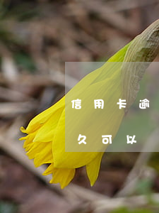 信用卡逾期之后多久能貸款(逾期貸款還完多久可以辦信用卡)