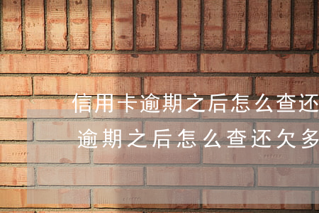 信用卡逾期之后怎么查还欠多少钱-信用卡逾期之后怎么查还欠多少钱了