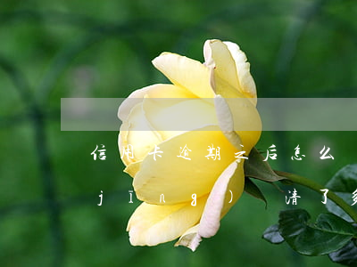 信用卡逾期之后怎么還款(貸款逾期過,已經(jīng)還清了多久可以信用卡)