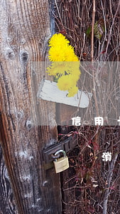 信用卡逾期之后怎樣消除(信用卡逾期之后怎樣消除征信)