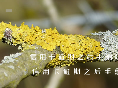信用卡逾期之后手續(xù)費如何計算-信用卡逾期之后手續(xù)費如何計算的