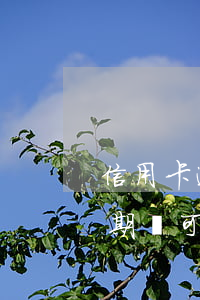 信用卡逾期之后是否還能正常使用-有過逾期還可以申請信用卡嗎