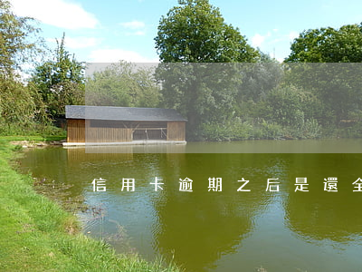 信用卡逾期之后是還全款