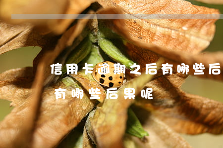 信用卡逾期之后有哪些后果(信用卡逾期之后有哪些后果呢)