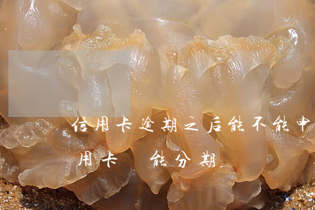 信用卡逾期之后能不能申請分期-逾期的信用卡還能分期嗎