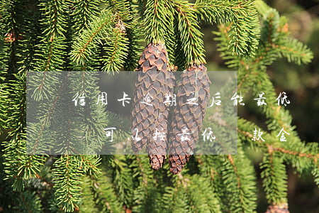 信用卡逾期之后能最低還款嗎(銀行卡逾期后還可以按最低還款金額嗎)
