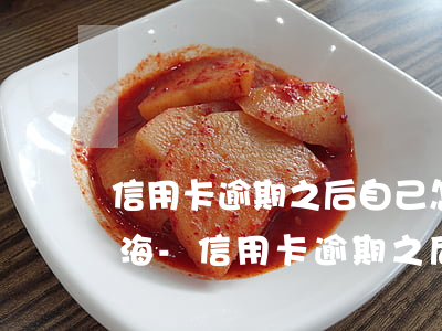 信用卡逾期之后自己怎么協(xié)商上海-信用卡逾期之后自己怎么協(xié)商上海銀行