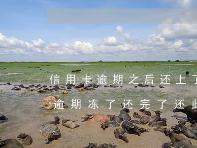 信用卡逾期之后还上了怎样解冻-我信用卡逾期冻了还完了,还此用吗
