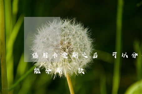 信用卡逾期之后還可以分期還款嗎 逾期后不能分期還款嗎